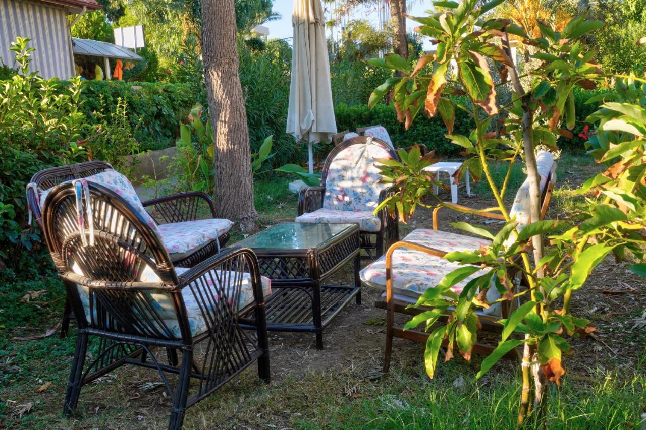 Blue Fish Hotel Konaklı Εξωτερικό φωτογραφία