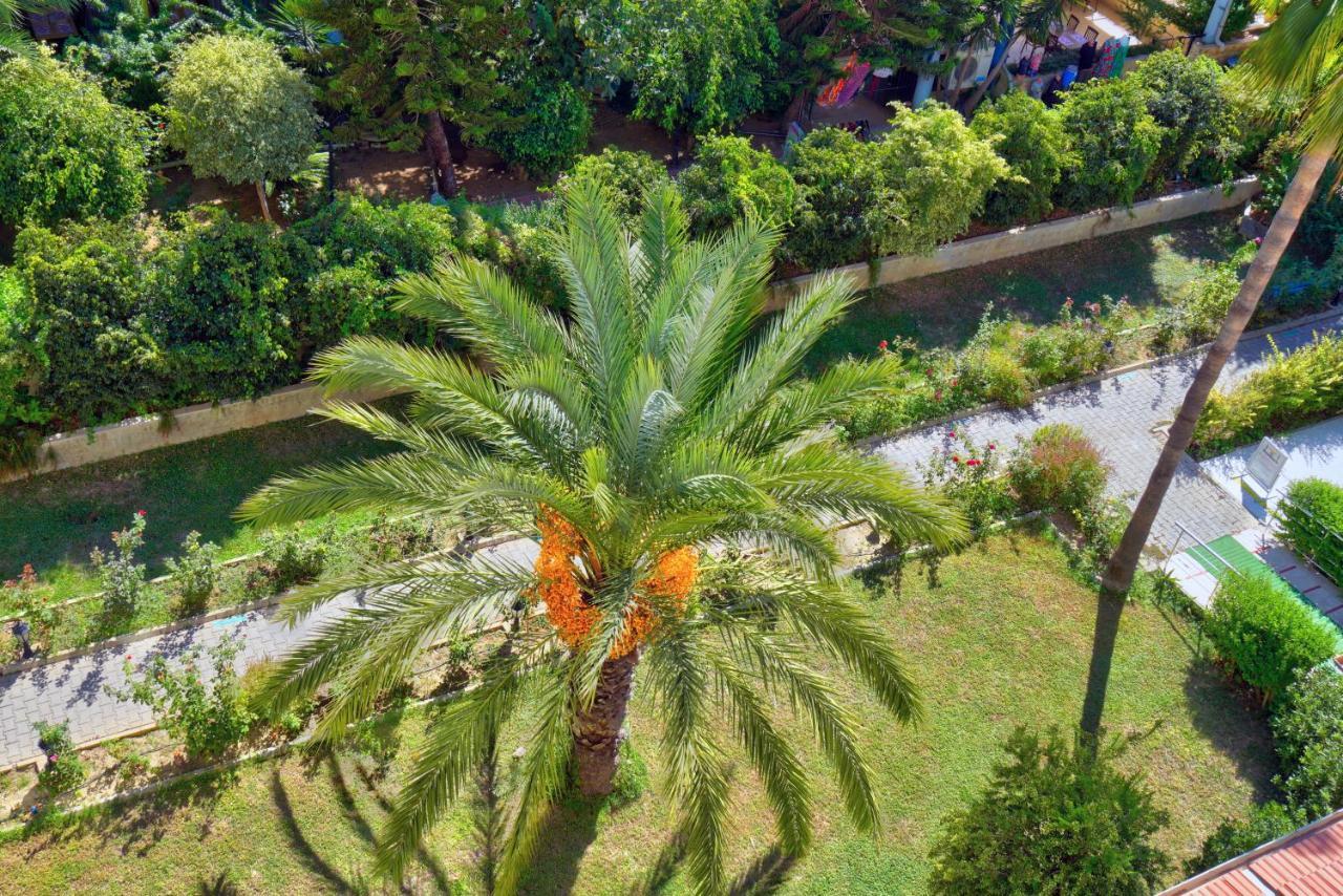 Blue Fish Hotel Konaklı Εξωτερικό φωτογραφία